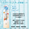 Nameraka Honpo Mist Lotion N (Increased) 10.6 oz (300 g),