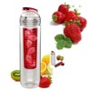 Fruitcola Dome Fruit Infuser Water Bottle (Purple)