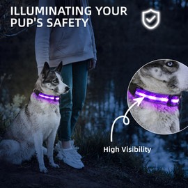 PetIsay Light up Dog Collar - High Visibility & Durable Nylon Material - USB C Rechargeable & Waterproof LED Dog Collar for Night Walking,Lighted Dog Collar Glow in The Dark Flashing(Purple,Medium)