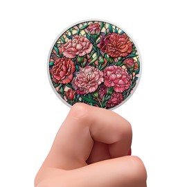 Carnation Flower Sobriety Coin Gifts Set | Silver AA Medallion with Coin Capsule | Anniversary Token for Men & Women in Recovery | AA Sobriety Gifts Medallion for Month & Year Milestones