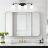 SOTTAE 4-Light Bathroom Vanity Lights, Modern Vanity Lighting with Milky