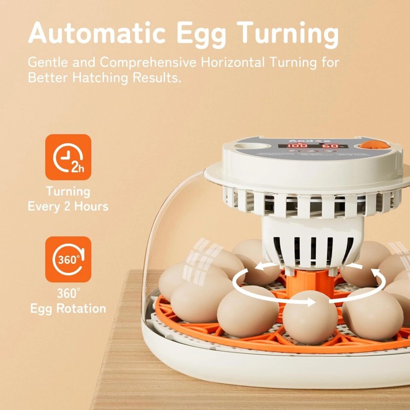 No Brand Egg Incubator with Temperature and Humidity Control, Automatic
