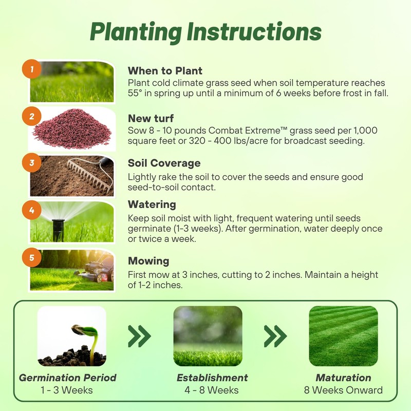 Outsidepride Combat Extreme Transition Zone Grass Seed Blend for Lawn