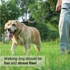 SVD.PET Dog Prong Collar for No-Pull Training, Quick-Release Buckle Adjustable