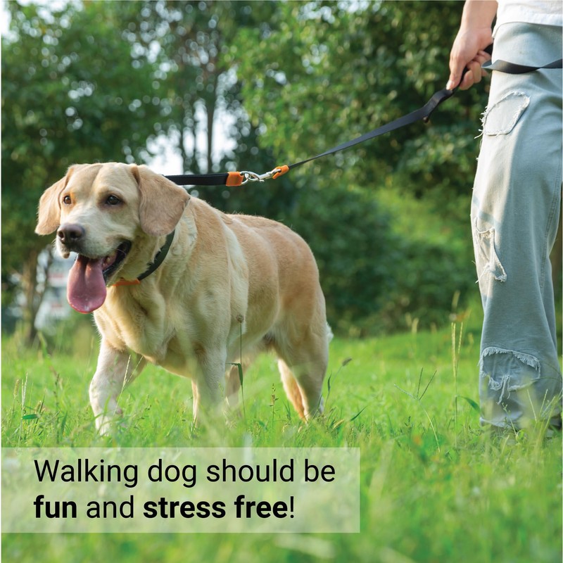 SVD.PET Dog Prong Collar for No-Pull Training, Quick-Release Buckle Adjustable