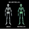 Hosendo Glowing Skull Doll 35.4 inches (90 cm), Set of