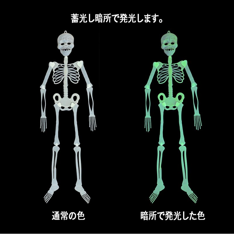 Hosendo Glowing Skull Doll 35.4 inches (90 cm), Set of