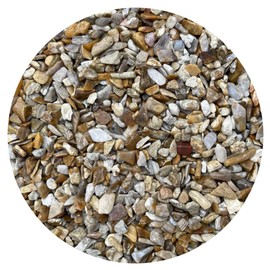 0.5 Pound Natural Semi Tumbled Fossil Coral Gemstone Chips, Fossil Coral Crushed Mini Crystals, Undrilled Crystal Chips (Fossil Coral)