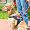 FUNCOLOR Service Dog Patch for Harness: 12Pcs Blue Theme Hook