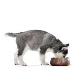 Sipworks Dog Bowl - Weighted Stainless Steel Dog Bowl with Non-Slip Base - Portable Metal Food & Water Bowls for Dogs - Pet Bowls for All Breeds Sizes for Travel & Outdoor Play - 32oz | Lavender Gray