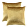 GIGIZAZA Gold Velvet Decorative Throw Pillow Covers,18x18 Pillow Covers for