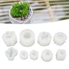 9Pcs Succulent Silicone Mold Soft Flexible Easy Release Easy to
