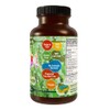 Vegan Omega 3 Algae Oil with DHA EPA The Fish-Less