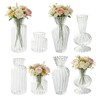 Odowalker Clear Flower Vase Set Small Glass Bud Vases Bulk