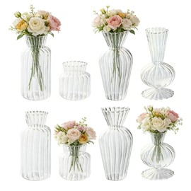Odowalker Clear Flower Vase Set Small Glass Bud Vases Bulk 8 Pcs