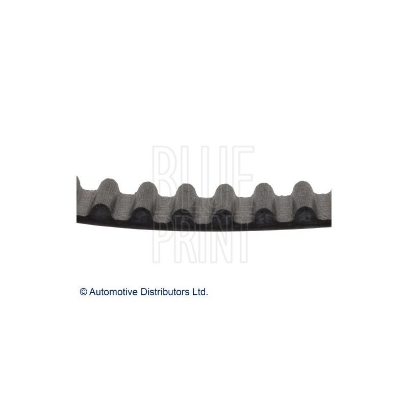 Blue Print ADH27512 TIMING BELT 1