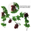 LONGHAO Artificial Grapes, Artificial Plastic Grape, Artificial Grape Vines, Artificial