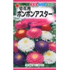 Tohawk Corporation 00090 Pom Pom Aster for Cutting Flowers