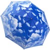 DUA GAL Clear Skies Folding Umbrella Auto Open Close Fiberglass