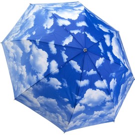 DUA GAL Clear Skies Folding Umbrella Auto Open Close Fiberglass Ribs