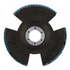 Rhodius 211303 Vision Pro Pack Flap Disc Diameter 125 mm