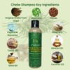 Chebe Strengthening & Nourishing Shampoo – With Rosemary, Cloves &