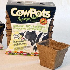 CowPots 4-inch Tall Square Nitrogen-Rich Plant Seedling Starter, Pack of 12