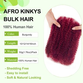 poetically 12 Inch Afro Kinkys Bulk Human Hair 50g/Pack for Mini Twist,BUG Braiding Hair for Dreadlocks,Loc Repair,Twists,99J Dreadlock Extensions