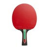 JOOLA Red Carbon Control Table Tennis Bat - Carbon Table