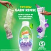 Gain Rinse and Renew Fabric Rinse, Dewdrop Dream, 48 fl