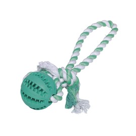 Nobby Solid Rubber Ball with Rope Dental Line Ball: Diameter 7 cm; Ball with Rope: 30 cm