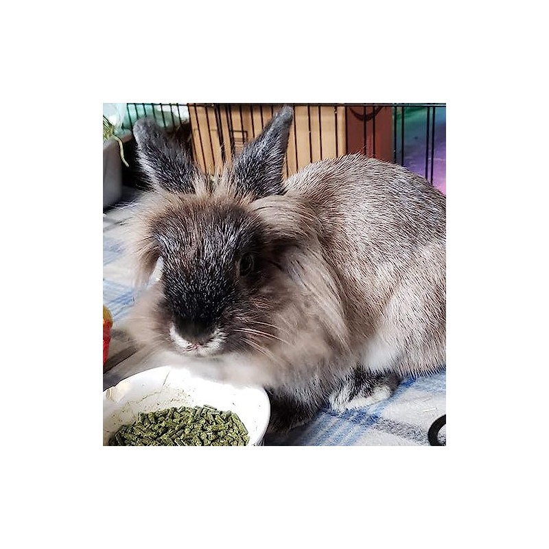 Sherwood Baby Rabbit Food. Hay-Based Pellet. No Wheat, Corn, or