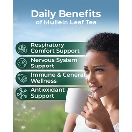 60 Bags Mullen Tea Mullein Tea Leaf (Verbáscum L.) - 60 Count 2g Bags Mullen Leaves Mullein Loose Leaf Hoja De Gordolobo