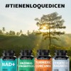 Myo Inositol 500 Por Cápsula Colágeno Hidrolizado Fórmula Completa Azúcar