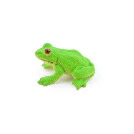 Safari Frog, Green Tree Frog Realistic Rainforest Figure Model Replica Kids 1.25" F7014