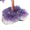 Jovivi Natural Amethyst Healing Crystal Money Tree on Amethyst Cluster