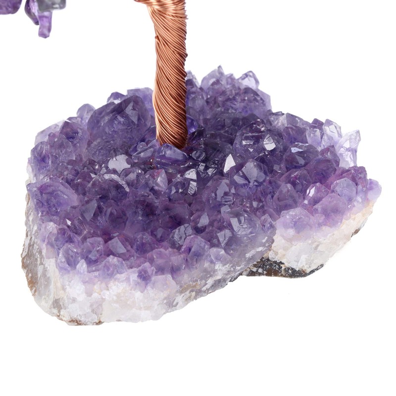 Jovivi Natural Amethyst Healing Crystal Money Tree on Amethyst Cluster