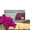 Outsidepride Wave Petunia Seeds - 15 Pcs Annual, Long-Blooming, Classic