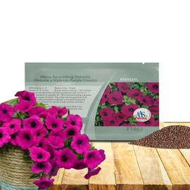 Outsidepride Wave Petunia Seeds - 15 Pcs Annual, Long-Blooming, Classic Purple Spreading Petunia Flower Seeds for Planting Outdoors, Ideal for Ground Cover, Baskets, & Pollinator Gardens (AAS Winner)