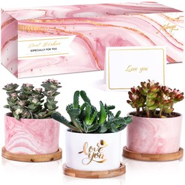 AISBUGUR Birthday Gifts for Women for Women for Her Funny Gifts for Women Succulent Pots Gifts with Beautifully Gift Boxed(I Love You)