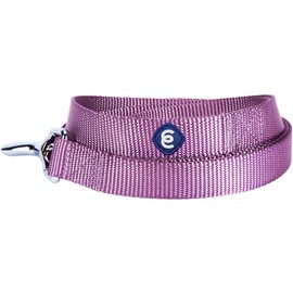 Blueberry Pet Essentials Purple Dog Leash for Medium - 5' * 3/4" Dogs | Heavy Duty Nylon Lead | Lightweight Puppy & Cat Leash for Walking & Training
