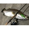 Fishing Fighters Airbraid PE White 150m #0.5/11.0Lb