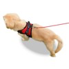 Copatchy Dog Harness with Handle (X-Large Red)