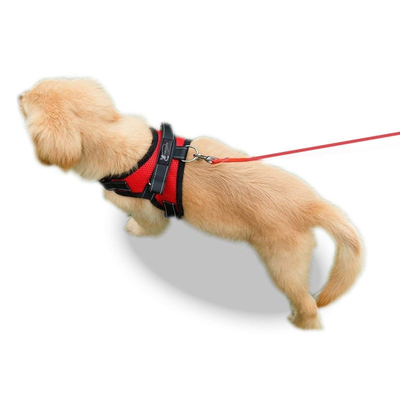 Copatchy Dog Harness with Handle (X-Large Red)