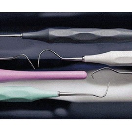 HAHNENKRATT ERGOFORM Dental Explorers Single Ended Form F (Pastel Mint)