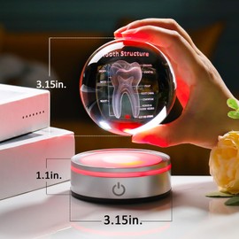 Enjinkail Tooth Model 3D Crystal Ball Dental Gifts for Women Men, Dentist Hygienist Present Office Decor with Led Base, Laser Etched Figurine Tooth Gift for Dental Student on Graduation Christmas