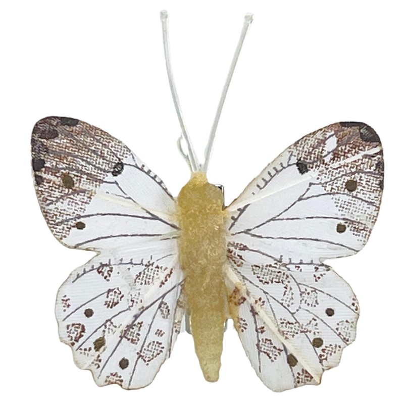 MIK funshopping Colourful Butterfly Clip (Set of 6 Mixed Colours