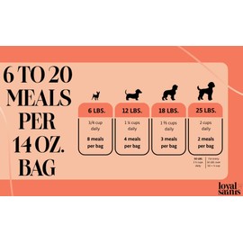 Loyal Saints Freeze Dried Raw Dog Food - Premium Turkey and Salmon Flavor with High Protein and Grain Free Dog Food for All Breeds and Picky Eaters - Versatile as Meal Topper, Snack, and Treats, 14 Oz