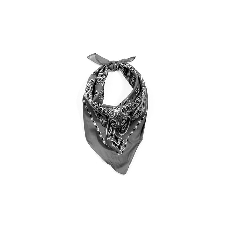 Rothco Trainmen Paisley Bandana – Extra Grande – 27" X