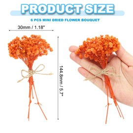 PATIKIL Mini Dried Flower Bouquet, 6 Pcs Baby's Breath Natural Wildflower with Stem Decor Boho Floral Plant Flower for Crafts DIY Photo Props Gift Wedding Decor, Orange